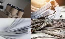 Kağıdın Tarihçesi ve Gelişimi