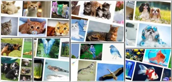 Köpek Ağızlıklarının Önemi Nedir?