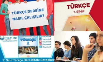 7. Sınıf Türkçe Ders Kitabı Cevapları Paragraf Anlamı ve Soru Çözümleri