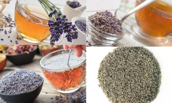 Lavender Teas Antioksidan Özellikleri Nelerdir?