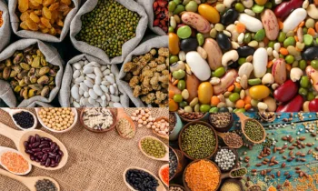 Kuru Baklagillerin Besin Değeri ve Sağlığa Katkıları