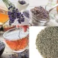 Lavender Teas Antioksidan Özellikleri Nelerdir?