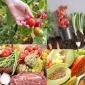 Organik Gıda Tüketimi Nedir?
