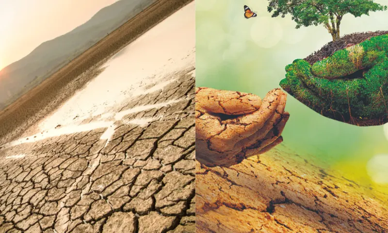 drought-2-li-1