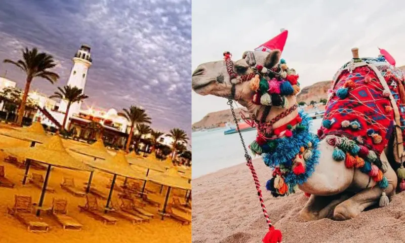 sharm-el-2-li-3